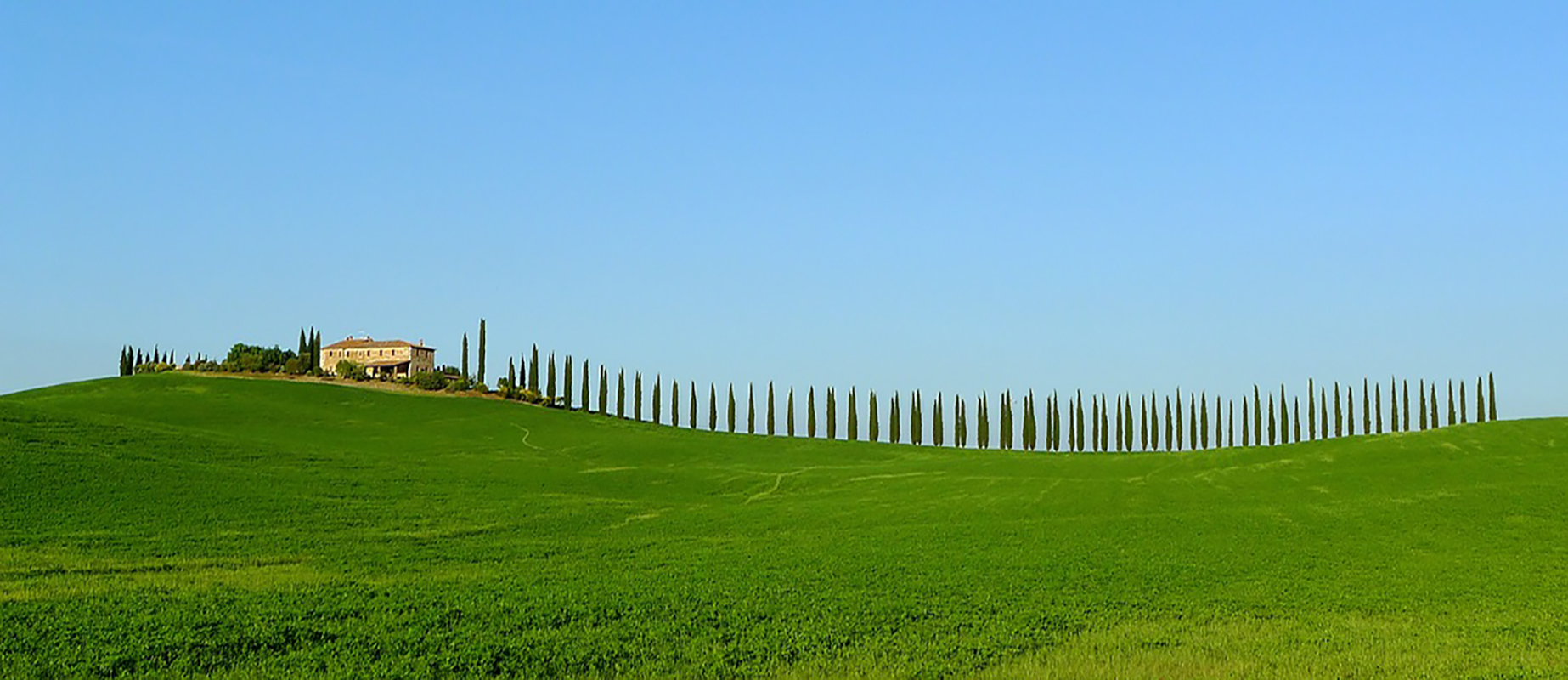 tuscan scenario, home page of florence private tours and shore excursions