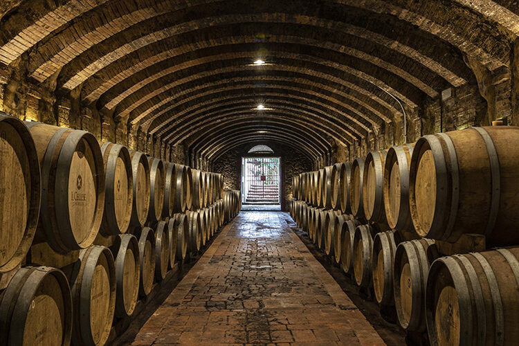 chianti, cellese winery, wine tours and wine tasting