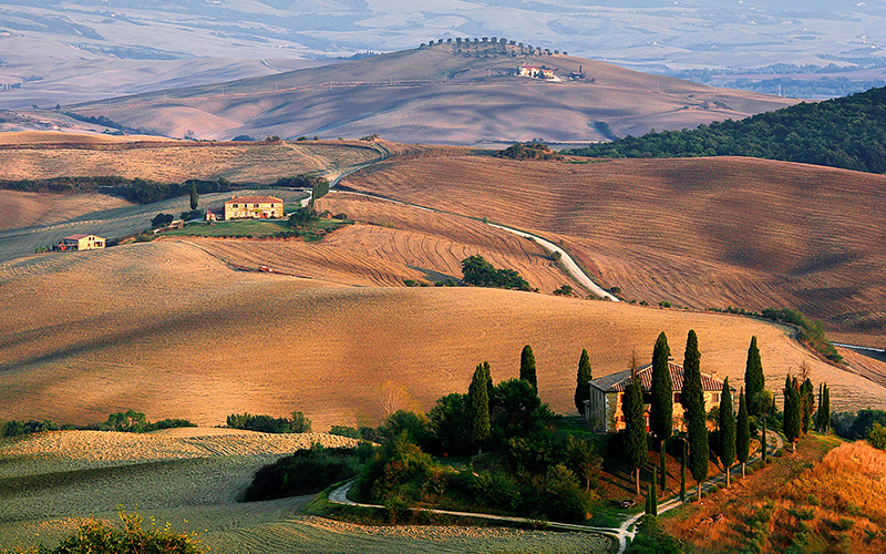 guide turistiche a firenze e provincia. Cttours itinerari nella campagna toscana, chianti.