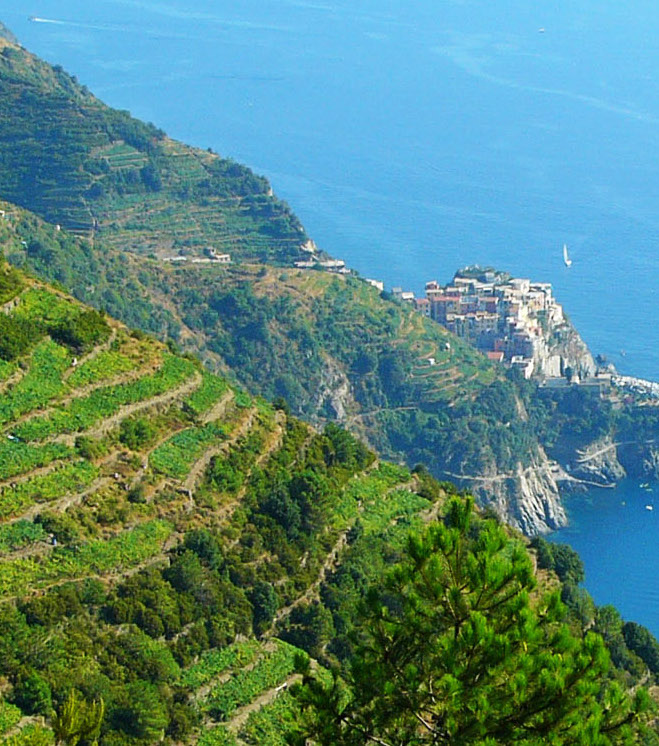 paesaggio verticale Cinque Terre terrazzamenti e borgo sul mare