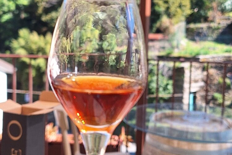 bicchiere sciacchetrà vino delle cinque terre